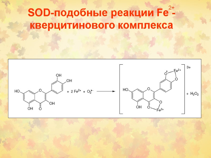 SOD-подобные реакции Fe - кверцитинового комплекса   2+